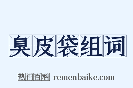 臭皮袋组词是什么意思的图片